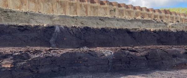 foto van geologische ontsluiting met dikke veenlaag