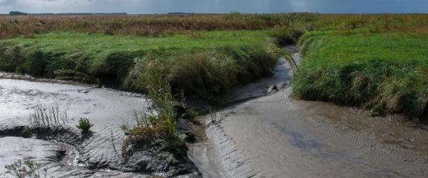 Foto van een landschap