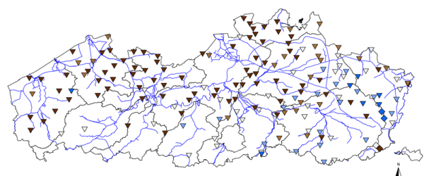 Huidige grondwaterstandsveranderingen en relatieve situering van de huidige freatische grondwaterstand